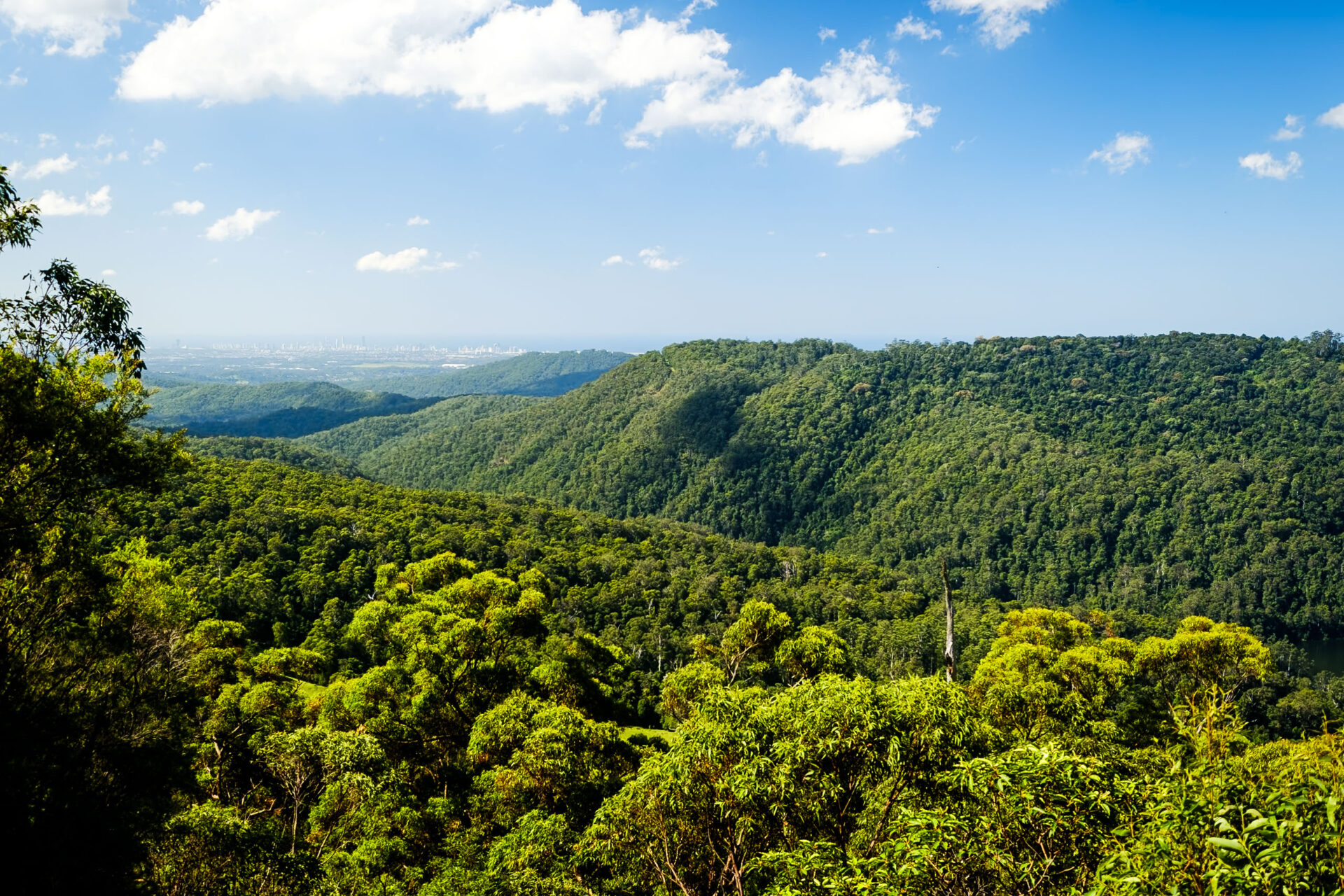 A Guide To The Gold Coast Hinterland
