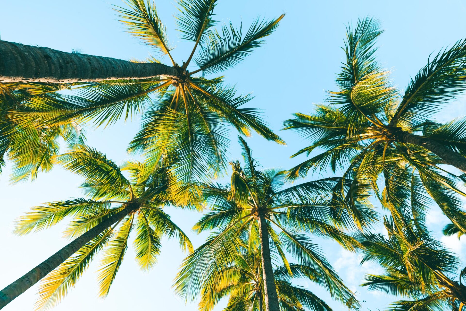 7 great things to do in Magnetic Island, Queensland