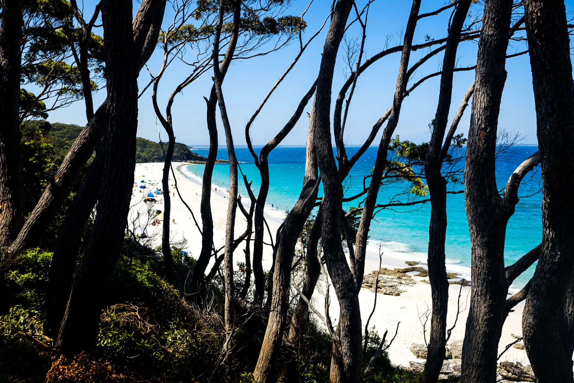 8 wonderful things to do in Jervis Bay, Nueva Gales del Sur