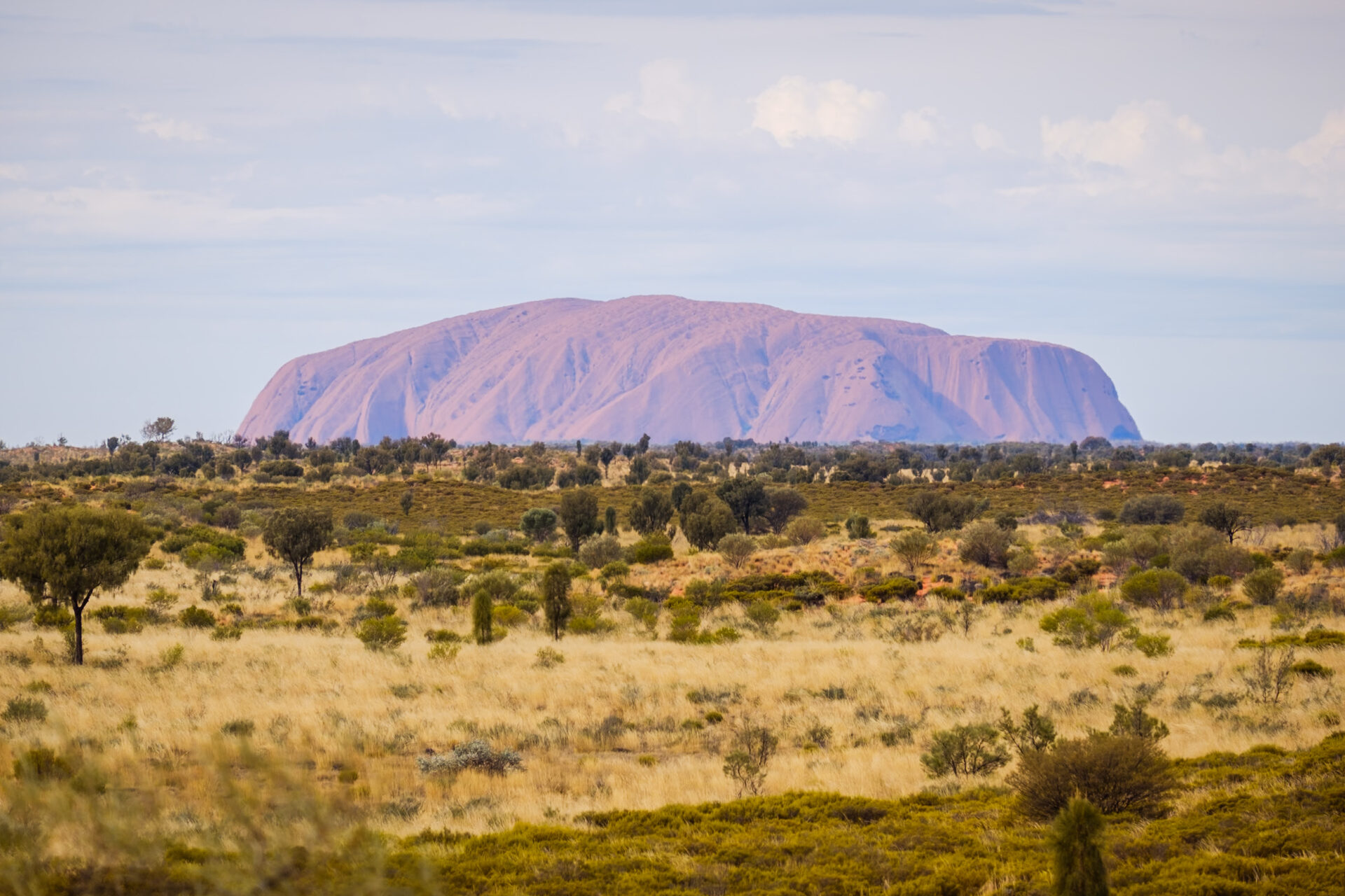 The most impressive things to do in Uluru