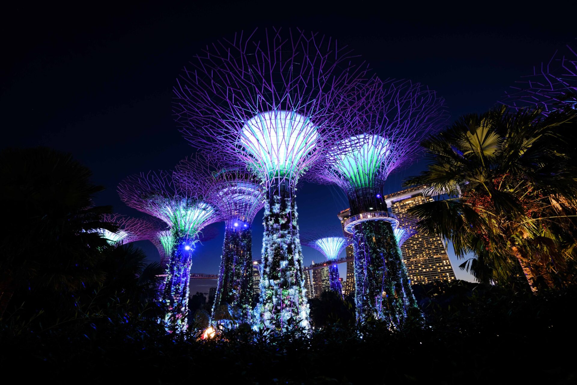 20 Insane Photo Spots in Singapore