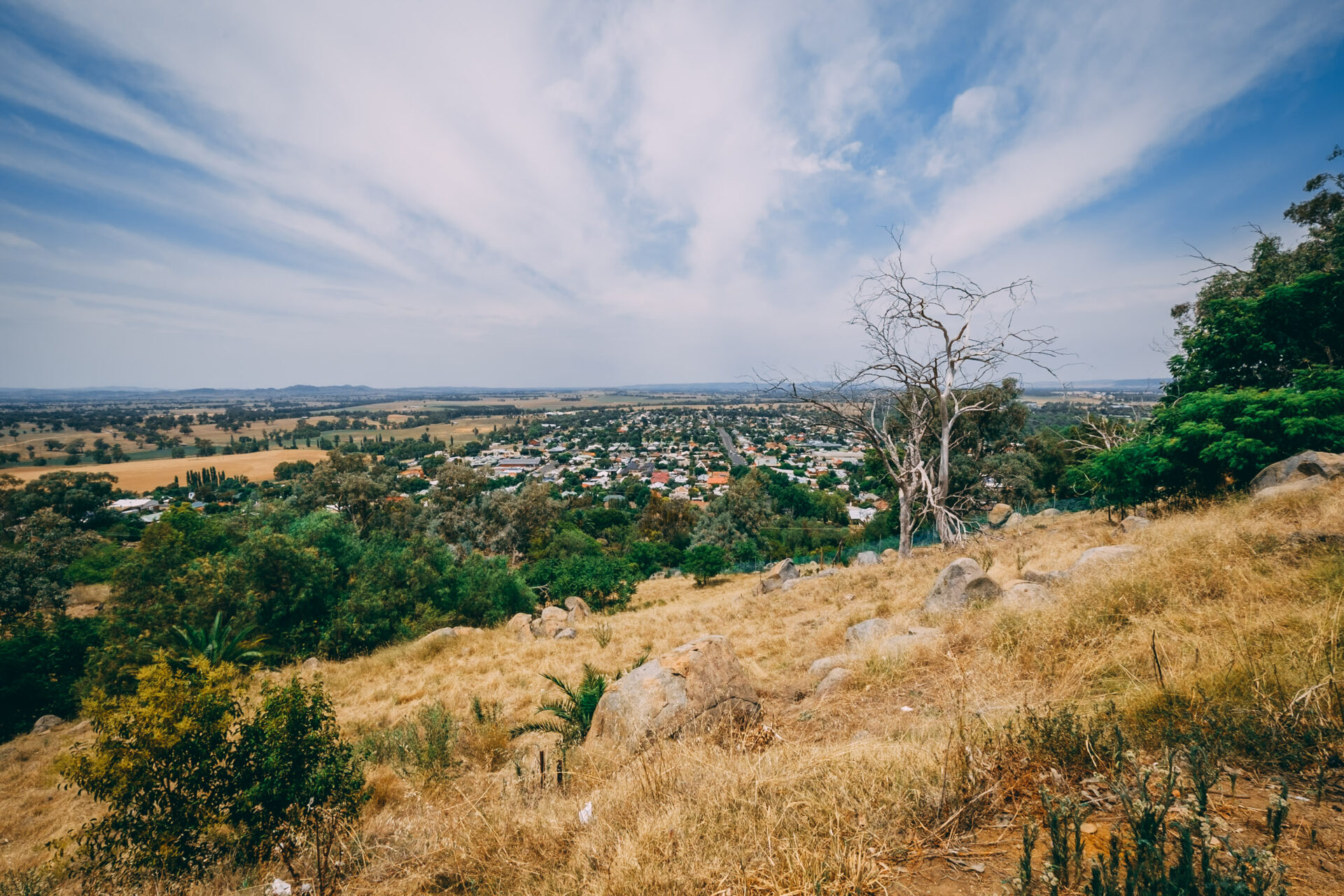 7 things to do in Cowra, New South Wales