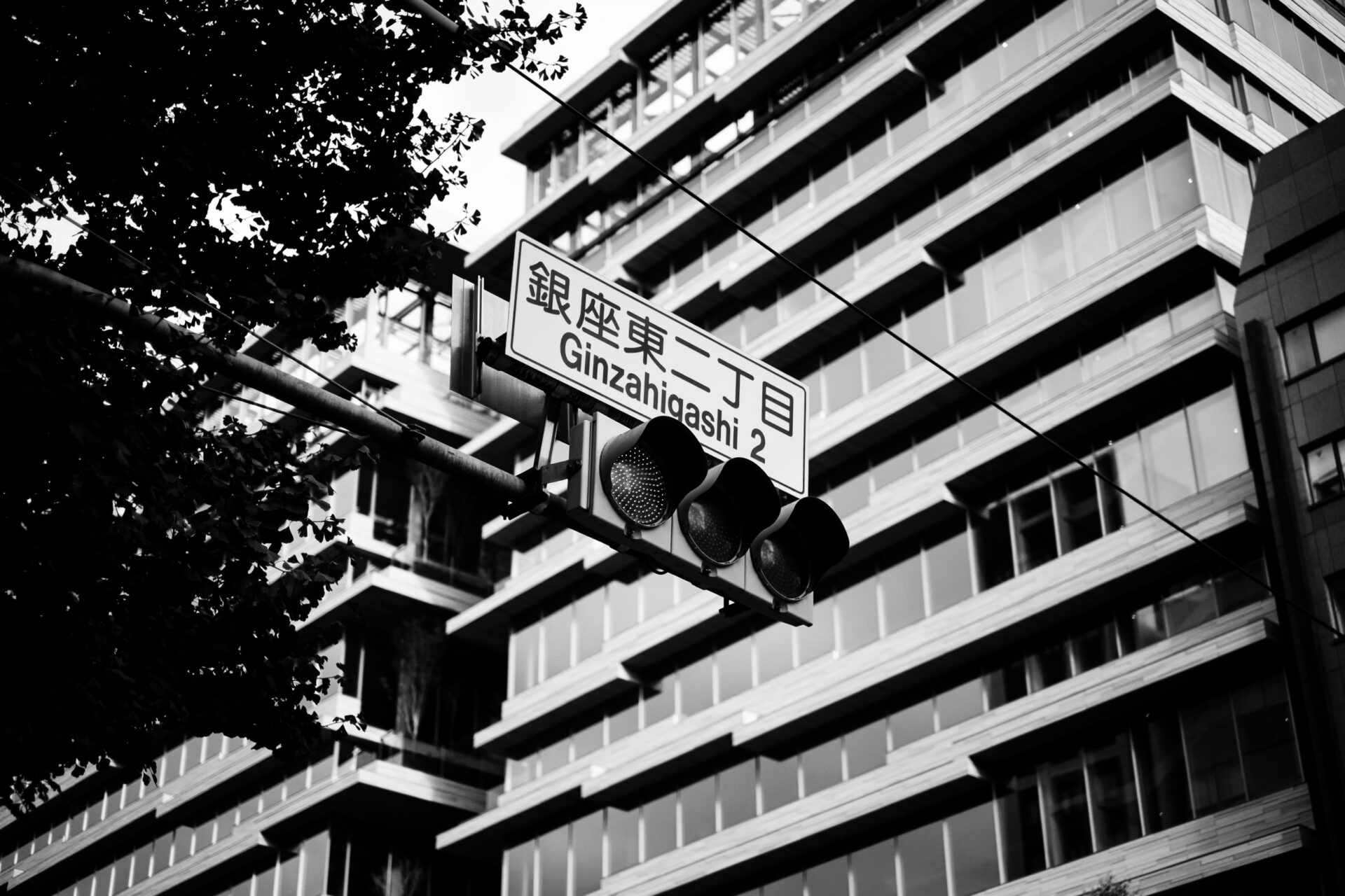 In the streets: Tokyo, Japan