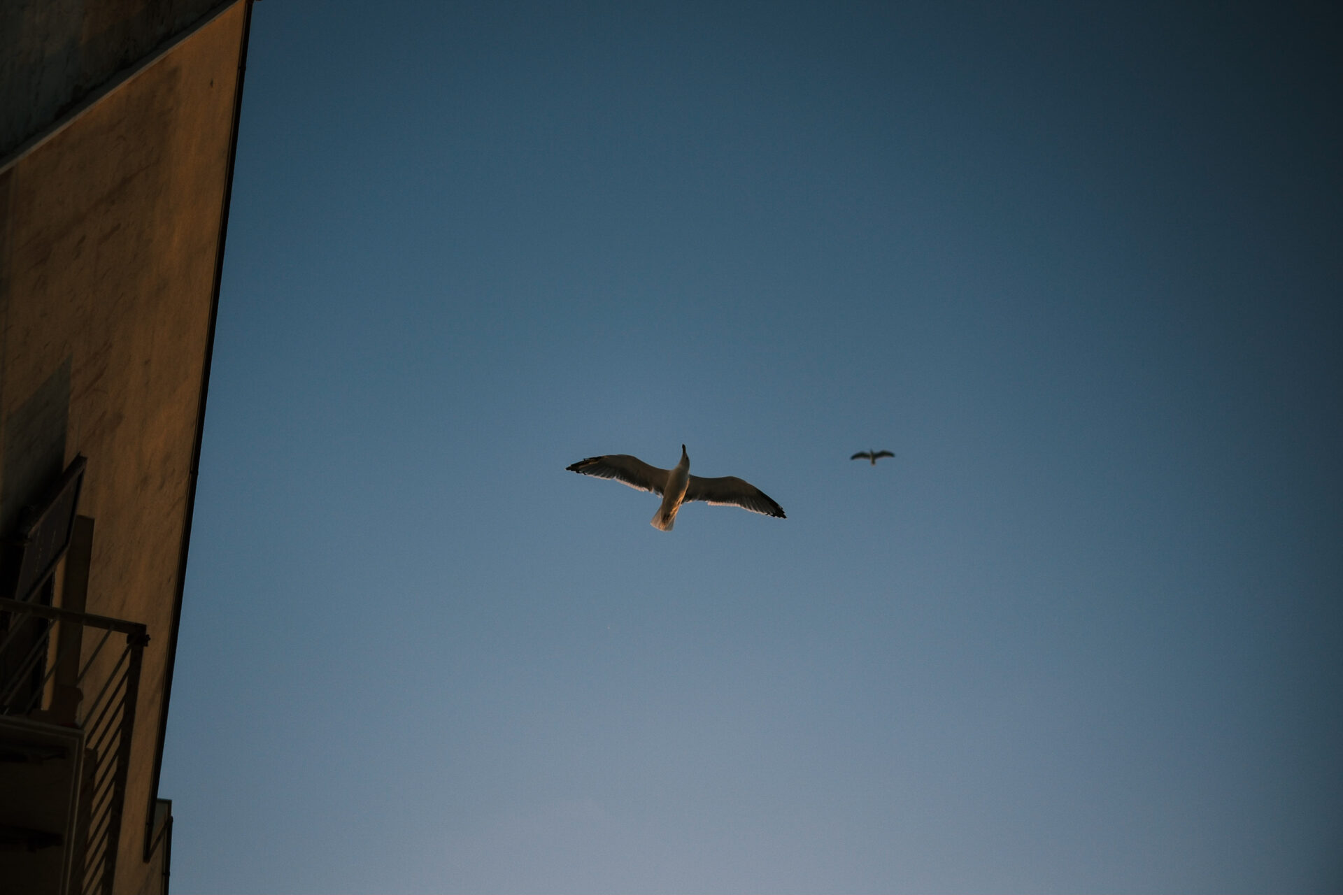 My Favourite Fujifilm Lenses for Travel Photography